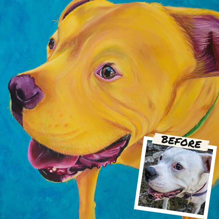 Custom Pet Portrait Paintings