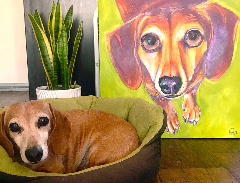 Custom Pet Portraits: Colorful Paintings of Your Pets