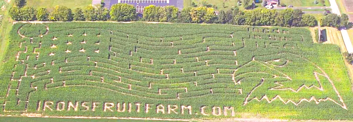 Corn maze at Irons Fruit Farm in Lebanon, Ohio