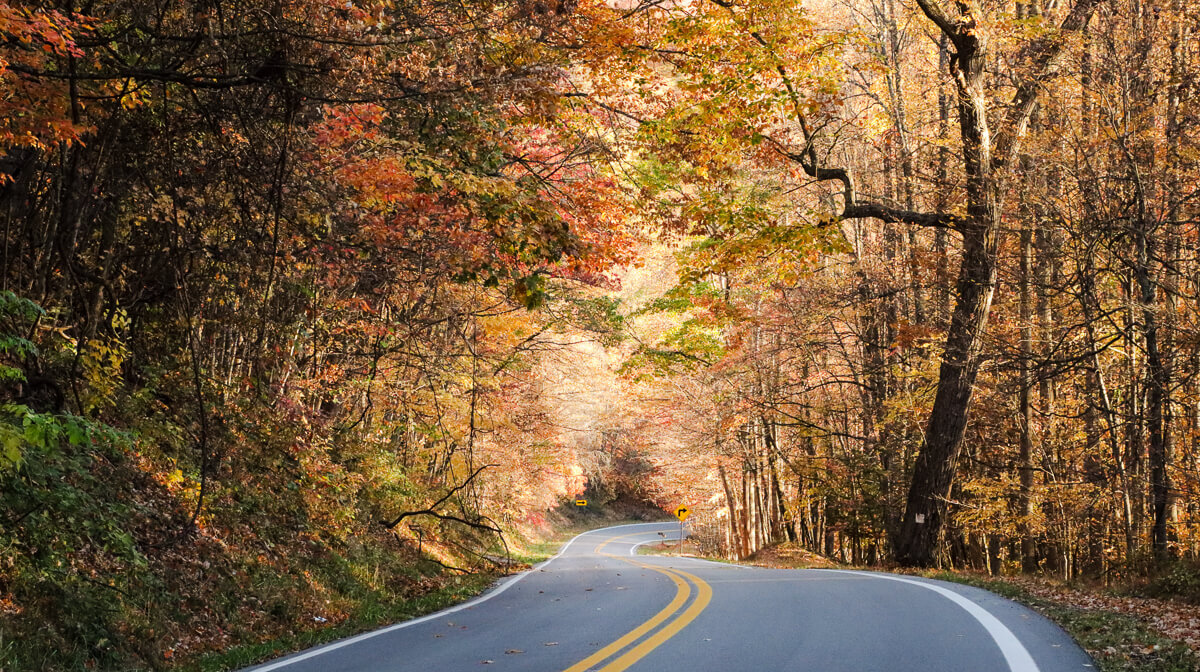 Scenic road surrounded by colorful fall trees near Cincinnati
