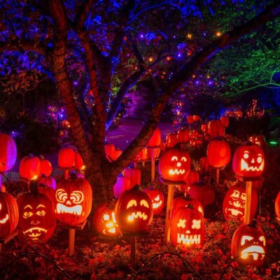 Glowing jack-o’-lanterns at the Cincinnati Zoo Jack O’Lantern Glow