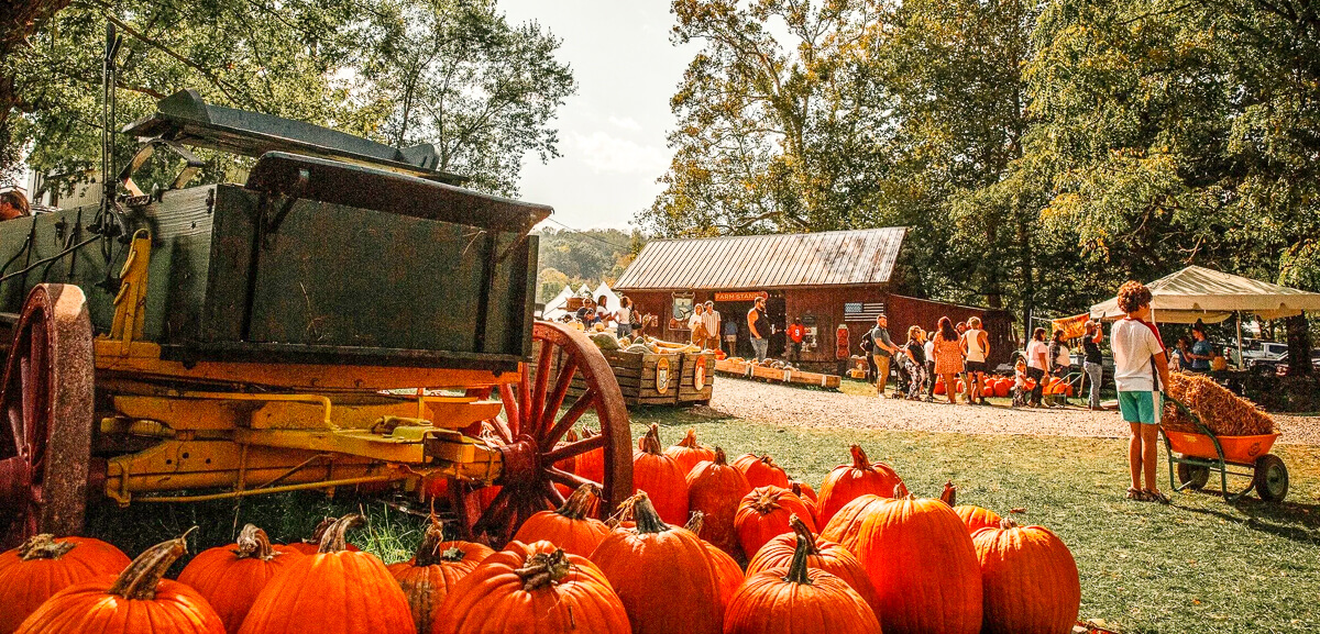 Pumpkins and fall activities at Neltner's Farm in Melbourne, Kentucky